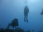 Hawaii Scuba divng 66