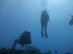 Hawaii Scuba divng 66