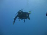 Hawaii Scuba divng 67