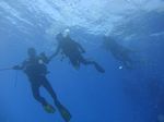 Hawaii Scuba divng 08