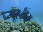 Hawaii Scuba divng 90