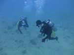 Hawaii Scuba divng 92