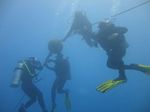 Hawaii Scuba divng 97