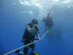 Hawaii Scuba divng 10