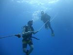 Hawaii Scuba divng 11