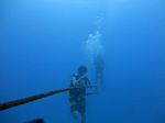 Hawaii Scuba divng 12