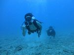 Hawaii Scuba divng 15