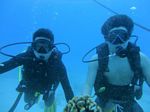 Hawaii Scuba divng 17