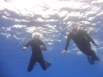 Hawaii Scuba divng 21