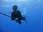 Hawaii Scuba divng 23