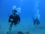 Hawaii Scuba divng 27