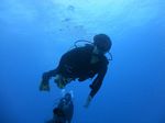 Hawaii Scuba divng 31