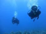 Hawaii Scuba divng 33