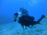 Hawaii Scuba divng 46