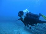 Hawaii Scuba divng 48