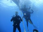 Hawaii Scuba divng 10