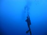 Hawaii Scuba divng 12