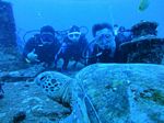 Hawaii Scuba divng 16