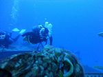 Hawaii Scuba divng 22