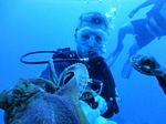 Hawaii Scuba divng 24