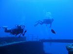 Hawaii Scuba divng 28