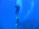 Hawaii Scuba divng 29