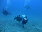 Hawaii Scuba divng 32