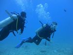 Hawaii Scuba divng 33