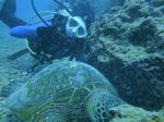 Hawaii Scuba divng 36