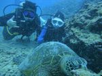 Hawaii Scuba divng 37