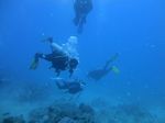 Hawaii Scuba divng 46