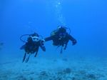 Hawaii Scuba divng 51