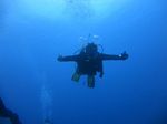 Hawaii Scuba divng 52