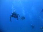 Hawaii Scuba divng 54