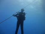 Hawaii Scuba divng 11