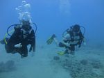 Hawaii Scuba divng 15