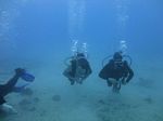 Hawaii Scuba divng 16