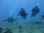 Hawaii Scuba divng 17