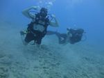 Hawaii Scuba divng 19