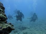 Hawaii Scuba divng 21