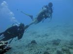 Hawaii Scuba divng 22