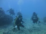 Hawaii Scuba divng 23