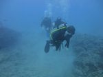 Hawaii Scuba divng 24