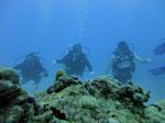 Hawaii Scuba divng 29