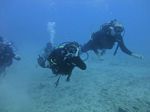 Hawaii Scuba divng 32