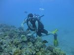 Hawaii Scuba divng 33