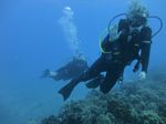 Hawaii Scuba divng 34