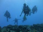 Hawaii Scuba divng 35