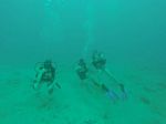 Hawaii Scuba divng 38