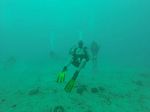 Hawaii Scuba divng 41